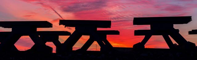 Three projects that help protect the natural world